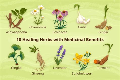 Which plant is known for its healing properties?