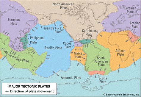 Which plate do we live on?