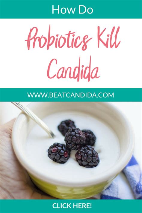 Which probiotic kills Candida?