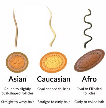 Which race grows hair the fastest?