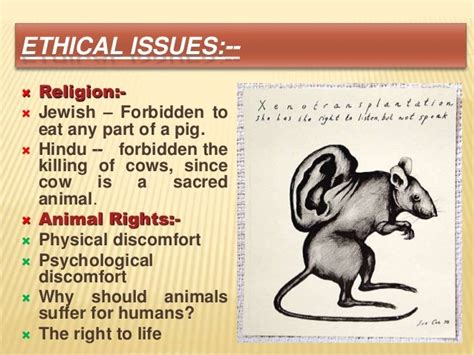 Which religions are against xenotransplantation?