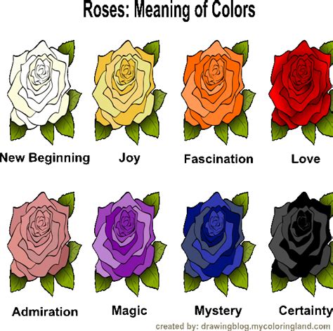 Which rose color means betrayal?