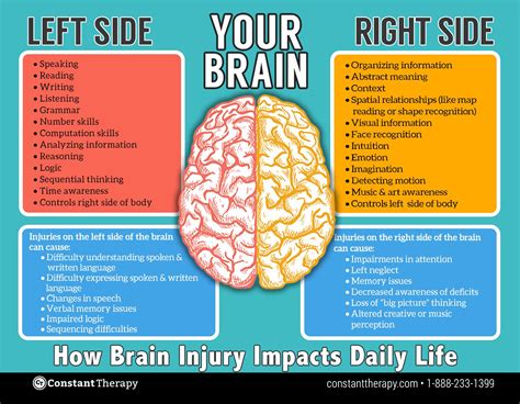 Which side of your brain controls your right foot?