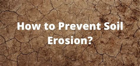 Which soil erosion can be prevented by?