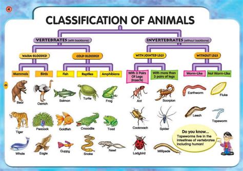 Which species has only 1 animal left?