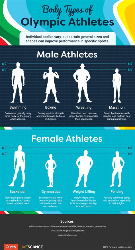 Which sport has the thinnest athletes?