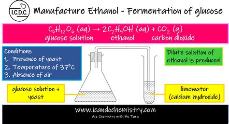 Which sugar ferments the fastest?