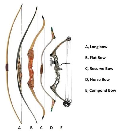 Which type of bow is the most popular?