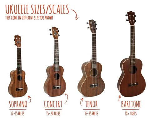 Which ukulele size is best?