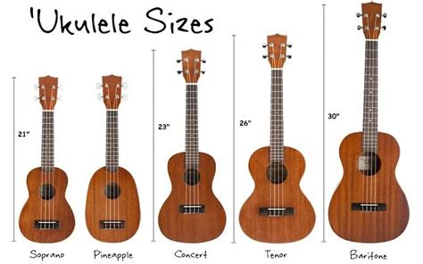 Which ukulele sounds most like a guitar?