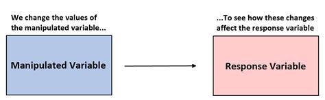 Which variable is manipulated?