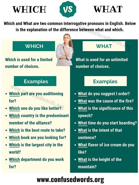 Which vs what difference?