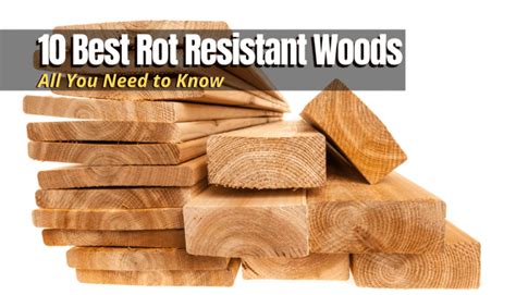 Which wood is most weather resistant?