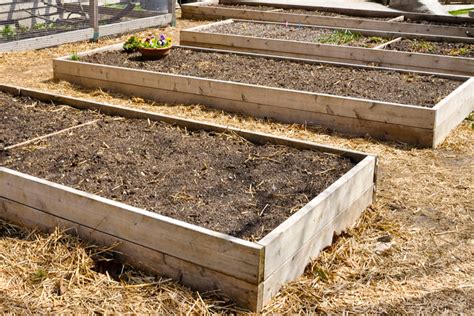 Which wood should you avoid when constructing a raised bed?