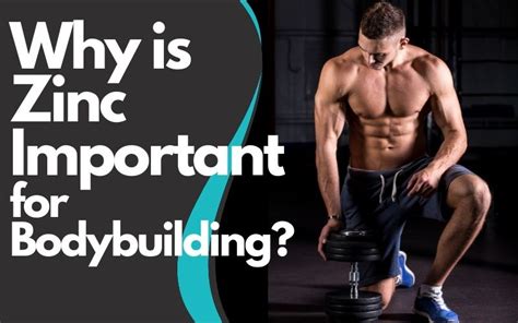 Which zinc for muscle growth?
