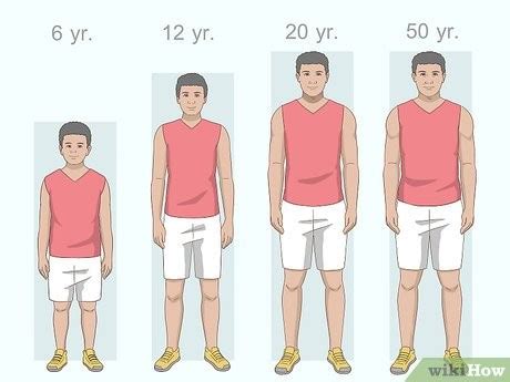 Who ages faster tall or short?