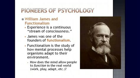 Who are the 3 founders of psychology?