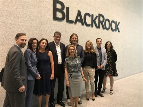 Who are the 7 partners of BlackRock?