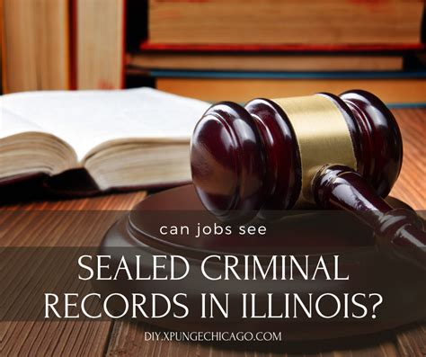 Who can see expunged records in Illinois?