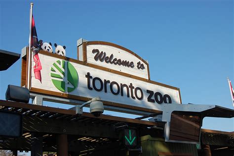 Who created the Toronto Zoo?