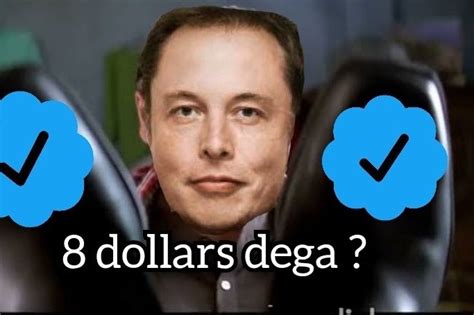 Who did Elon Musk pay for blue tick?