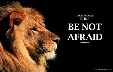 Who does not fear the lion?