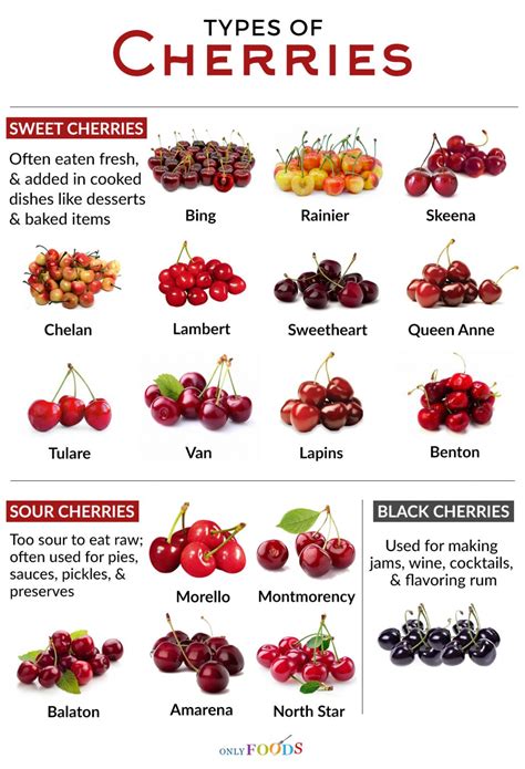 Who eats the most cherries?