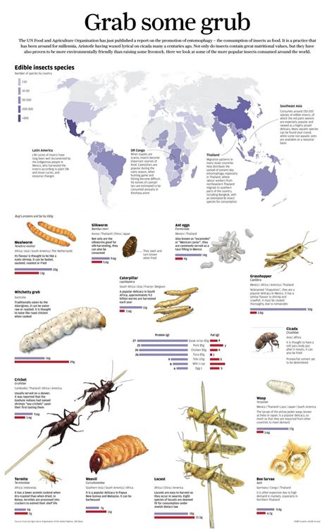 Who eats the most insects?