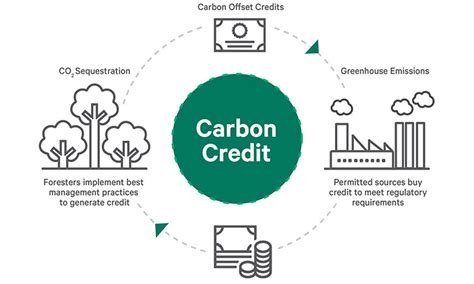 Who gets carbon credit money?