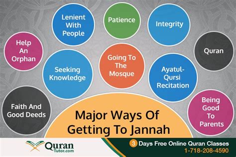 Who goes straight to Jannah in Islam?