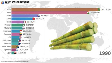 Who grows the most sugar cane?