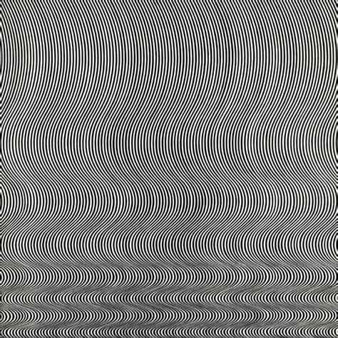 Who is Bridget Riley for kids?