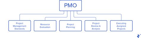 Who is higher PMO or project manager?