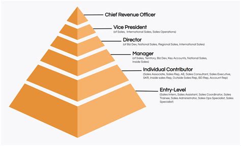 Who is higher than a sales manager?