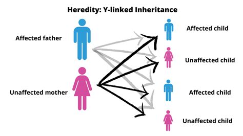 Who is most likely to inherit schizophrenia?