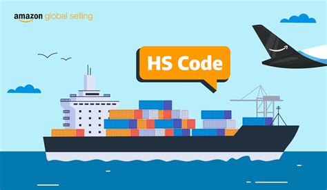 Who is responsible for HS code importer or exporter?
