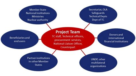 Who is responsible for the project team?
