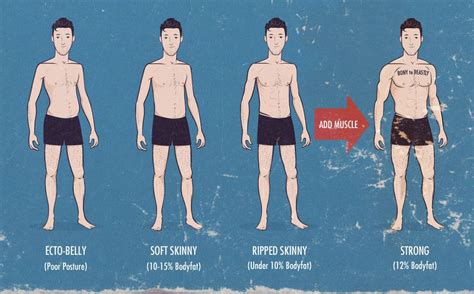 Who is stronger fat or skinny?