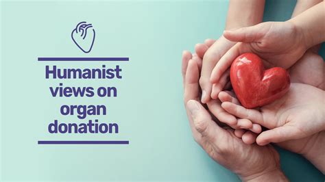 Who is the best donor for organ transplant?