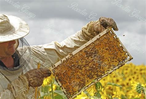 Who is the biggest manufacturer of honey?
