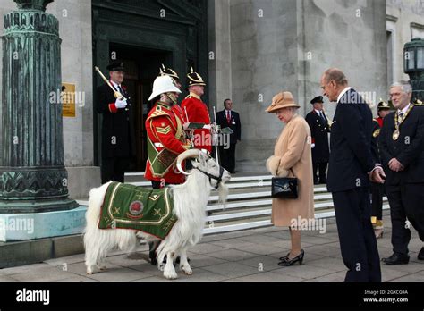 Who is the goat of Queen Elizabeth?