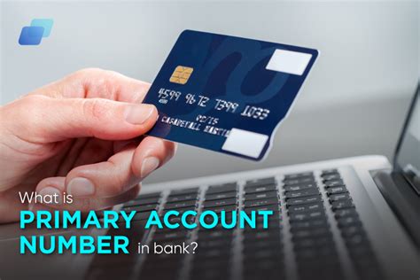 Who is the primary account owner?