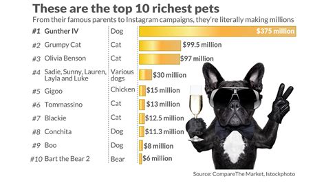 Who is the richest pet?