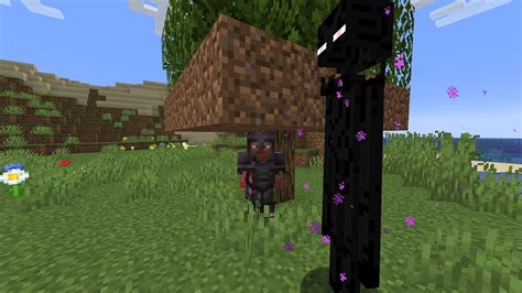 Who kills Enderman?