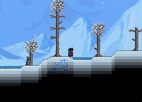 Who likes the snow in Terraria?