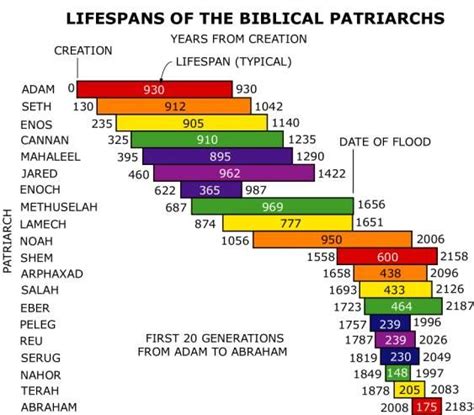 Who lived to be 800 years old in the Bible?