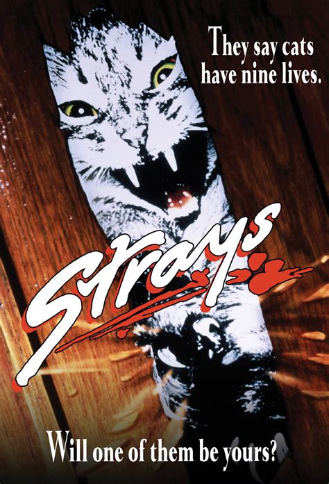 Who made strays?