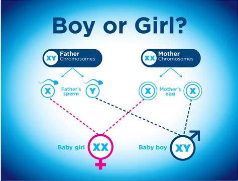 Who moves more boy or girl?