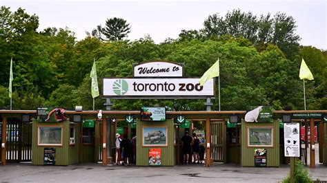 Who owns Toronto Zoo?