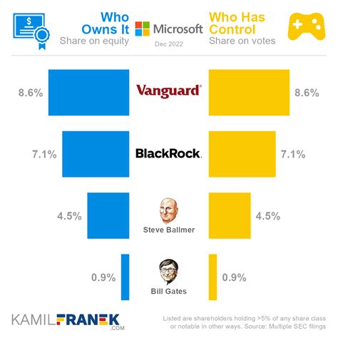 Who owns the most Microsoft?